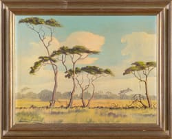 Gerrie Snyman; Bome by Naboomspruit (Trees by Naboomspruit)