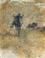 Zakkie Eloff; Wildebeest