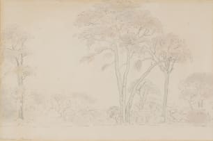 Jacob Hendrik Pierneef; Skakuza