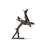 Guy du Toit; Hare with Planes