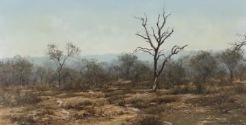 Francois Koch; Bushveld Landscape