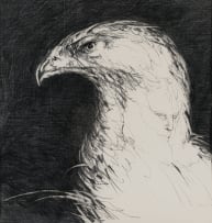 Judith Mason; Eagle