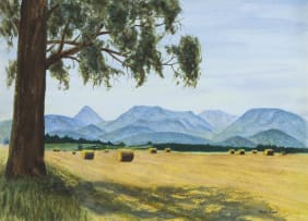 Phillip Grieve; View of Farmland Between Elgin and The Houwhoek Pass - Seen on the Left of the N2, en-route to Hermanus
