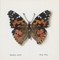 Phillip Grieve; Vanessa cardui (Painted Lady Butterfly) Artwork