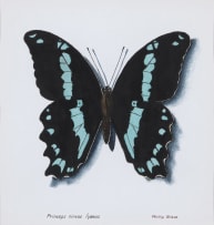 Phillip Grieve; Princeps nireus lyaeus (Green-Banded Swallowtail Butterfly) Artwork