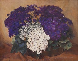 Frans Oerder; Cinerarias in a Pot