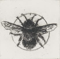 Anna Alcock; Ghost of a Bee