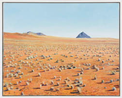 Walter Meyer; Namib