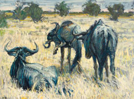 Zakkie Eloff; Drie Wildebeeste
