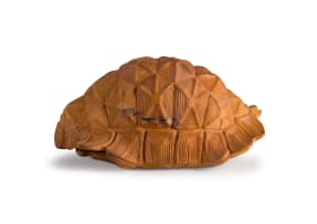 Laurie Wiid van Heerden hand-carved yellowwood tortoise shell, 2021