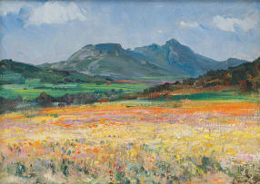 Hugo Naudé; Namaqualand in Spring