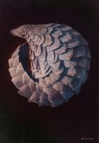 Gerbrand van Heerden; Pangolin I