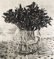 William Kentridge; Irises, Royal Observatory, Cape of Good Hope