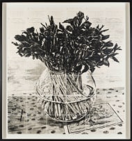 William Kentridge; Irises, Royal Observatory, Cape of Good Hope