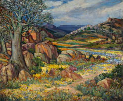 Hugo Naudé; Namaqualand Flowers and Quiver Tree