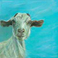 Marian Binder; Goat