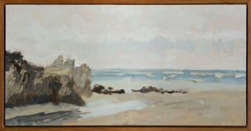 Tracy Algar; Voëlklip Beach, Hermanus