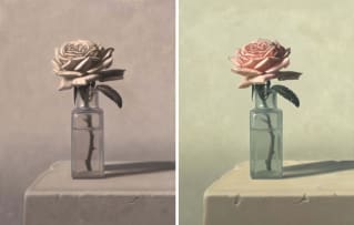Alex Emsley; Variations on a Theme, diptych
