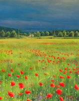 Andrew Cooper; Poppies in a Meadow