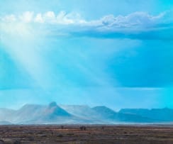 Albert Redelinghuys; Karoo