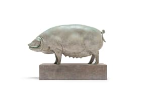 Nick Bibby; British Lop Pig (Liskeard Sunshine 500), British Champion Animals Series