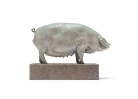 Nick Bibby; British Lop Pig (Liskeard Sunshine 500), British Champion Animals Series