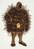 Walter Oltmann; Bristle Suit III