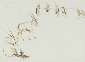 Zakkie Eloff; Gemsbok