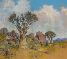 Conrad Theys; Kokerbome-Richtersveld (Quiver Tree Richtersveld)