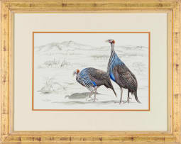 Penny Meakin; Guinea Fowl