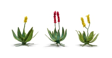 Keiskamma Art Project; Aloes, three