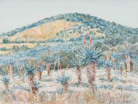 Carl Becker; Aloes, Near Salem