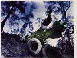 Obie Oberholzer; Tree Stump with Tyres