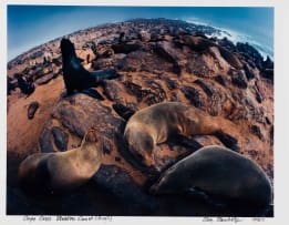 Obie Oberholzer; Cape Cross. Skeleton Coast.
