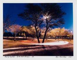 Obie Oberholzer; Acacia Tortilis. North West Province. SA.