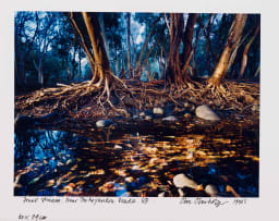 Obie Oberholzer; Small Stream. Near Thohoyandon. Venda