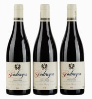 Newton Johnson; Family Vineyards Seadragon Pinot Noir; 2018; 3 (1 x 3); 750ml