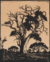 Jacob Hendrik Pierneef; Hardekoolboom, Bosveld N.T (Nilant 74)