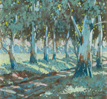 Sydney Carter; Bluegums Along a Pathway