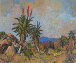 Conrad Theys; Aloes near Zoar - Little Karoo