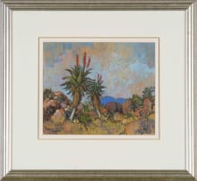 Conrad Theys; Aloes near Zoar - Little Karoo