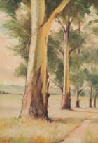 Christopher Tugwell; Bluegum Trees along a Pathway