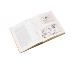 Walter Battiss; Picasso: His Recent Drawings 1966 - 1968, annotated by Walter Battiss