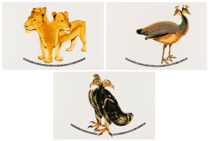 Joachim Schönfeldt; Untitled (Lioness, Peahen, Eagle), three