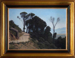 Daan Vermeulen; The Road Above Paarl