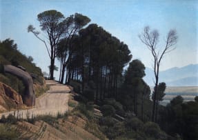 Daan Vermeulen; The Road Above Paarl