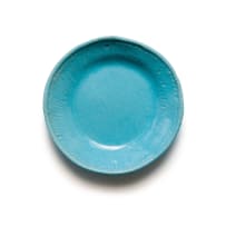 Hylton Nel; Turquoise plate