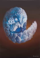 Gerbrand van Heerden; Untitled (Pangolin)