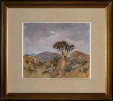 Conrad Theys; Quiver Tree Study