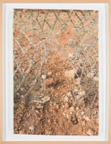 Dan Halter; Hole in the South Africa / Zimbabwe Border Fence